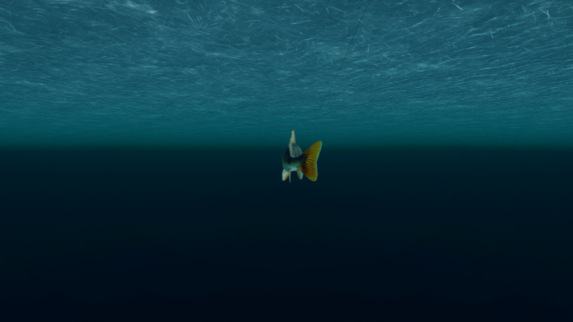 Ultimate Fishing Simulator VR — скриншот 4