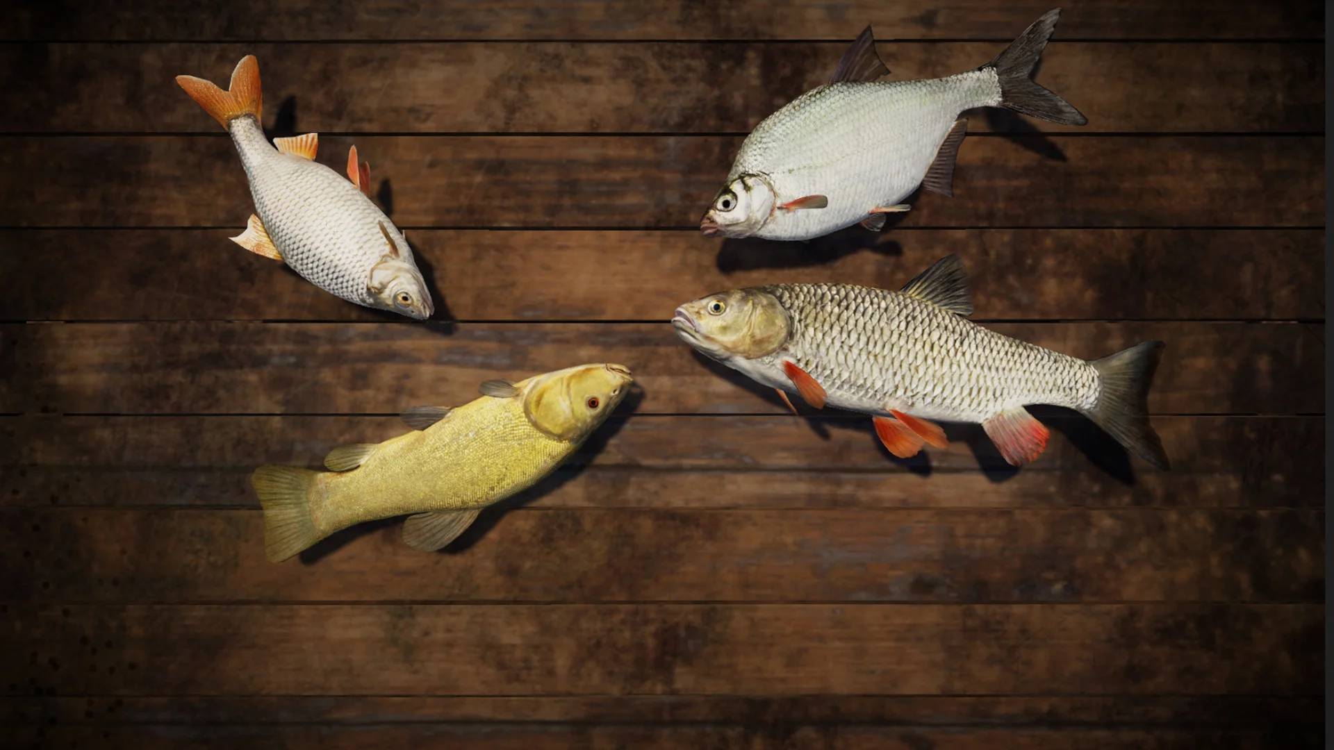 PRO FISHING (2018) - кадр 7