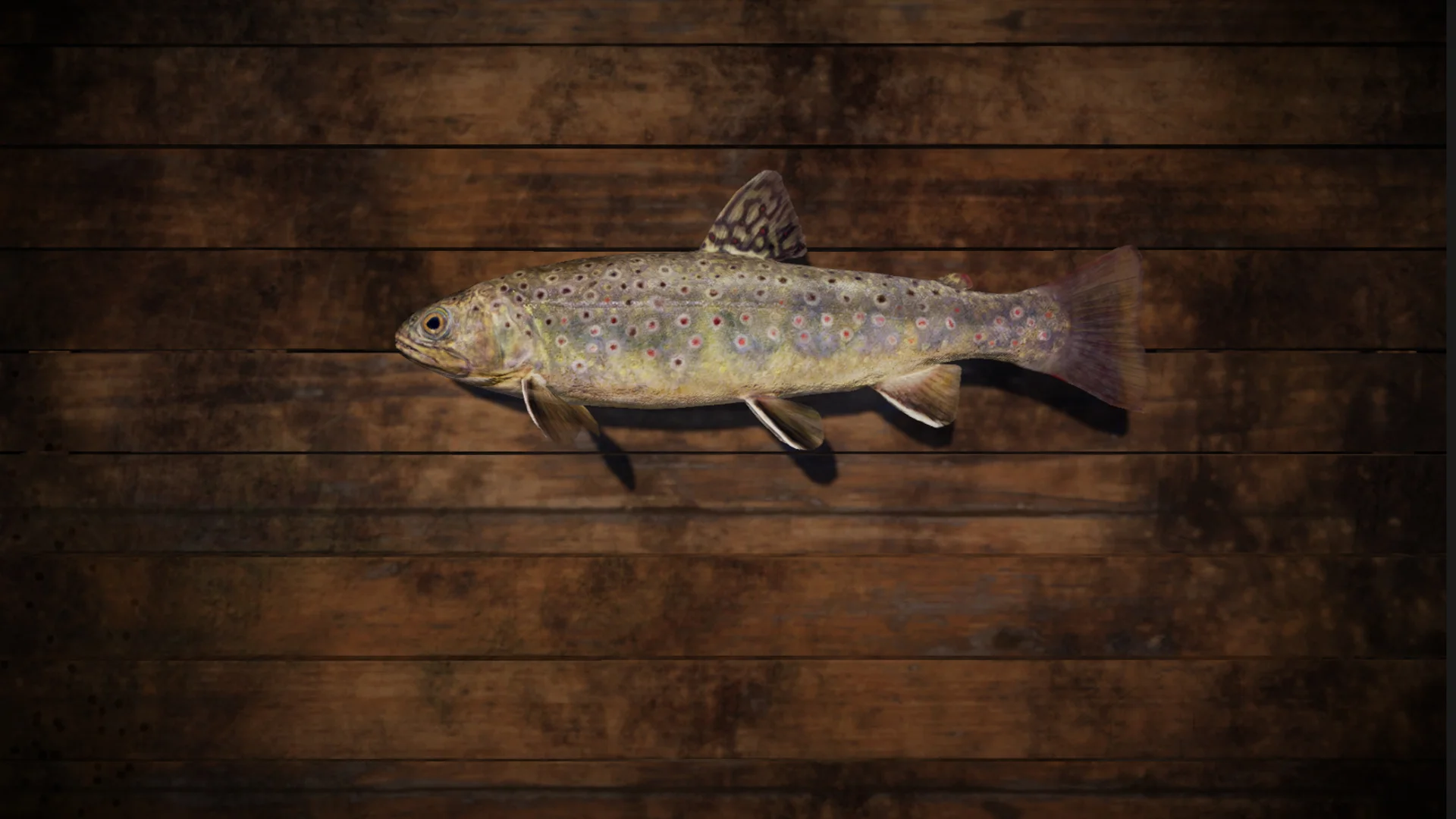 PRO FISHING (2018) - кадр 16