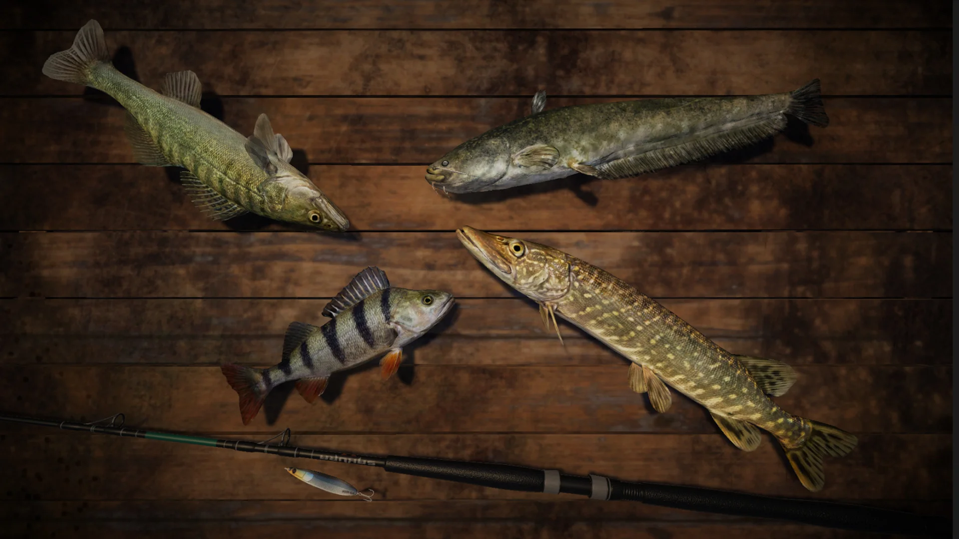 PRO FISHING (2018) - кадр 2