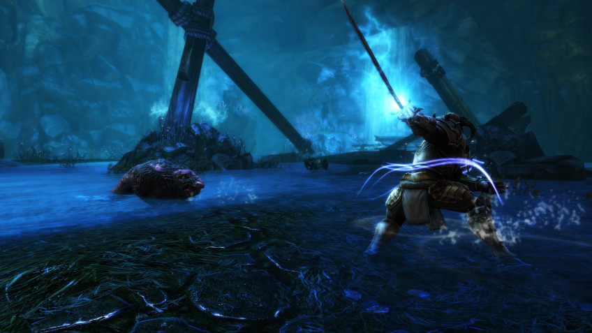 Kingdoms of Amalur: Re-Reckoning — скриншот 8
