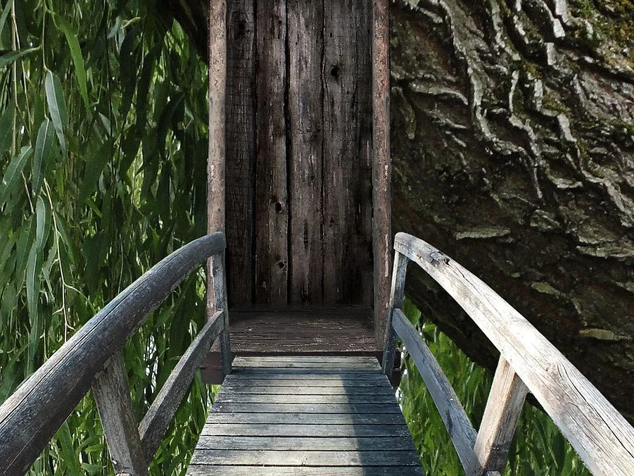 Anamedia - кадр 8