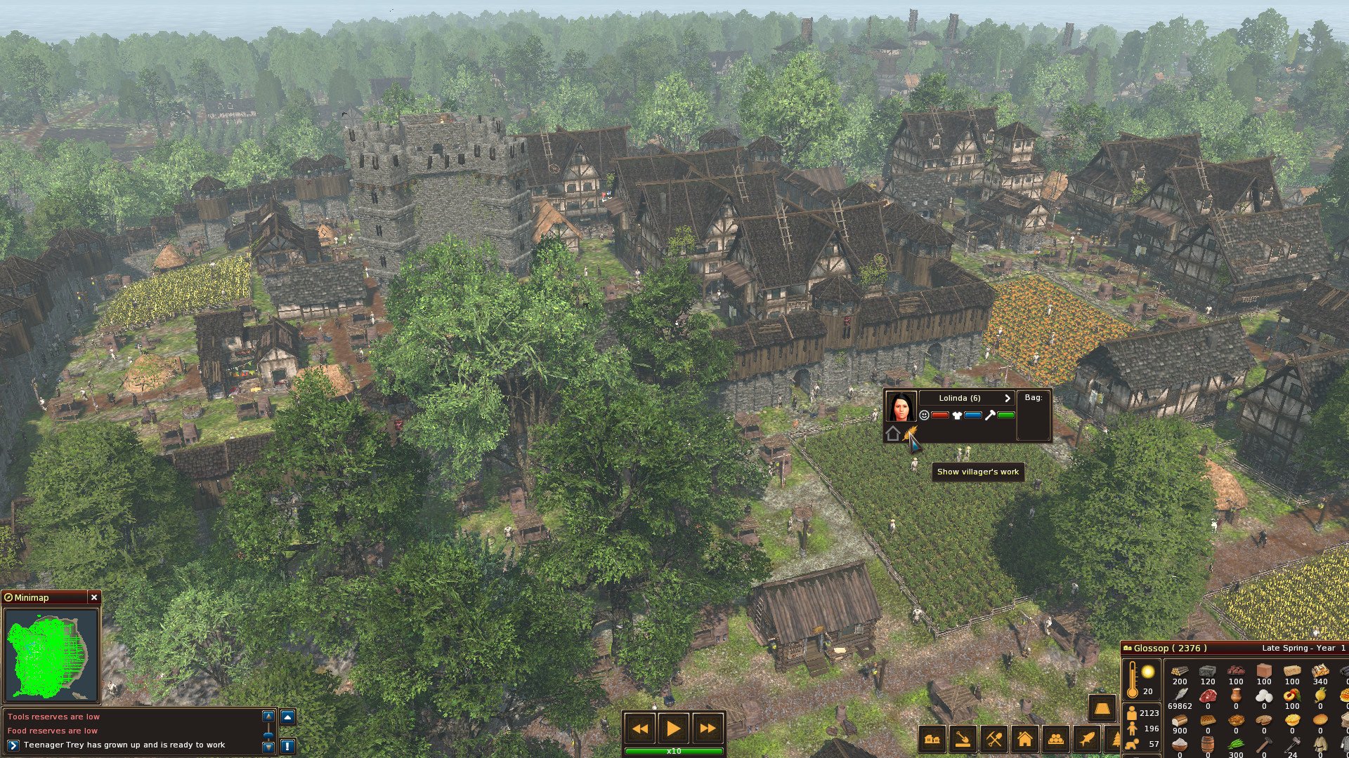 Life is Feudal: Forest Village — скриншот 6