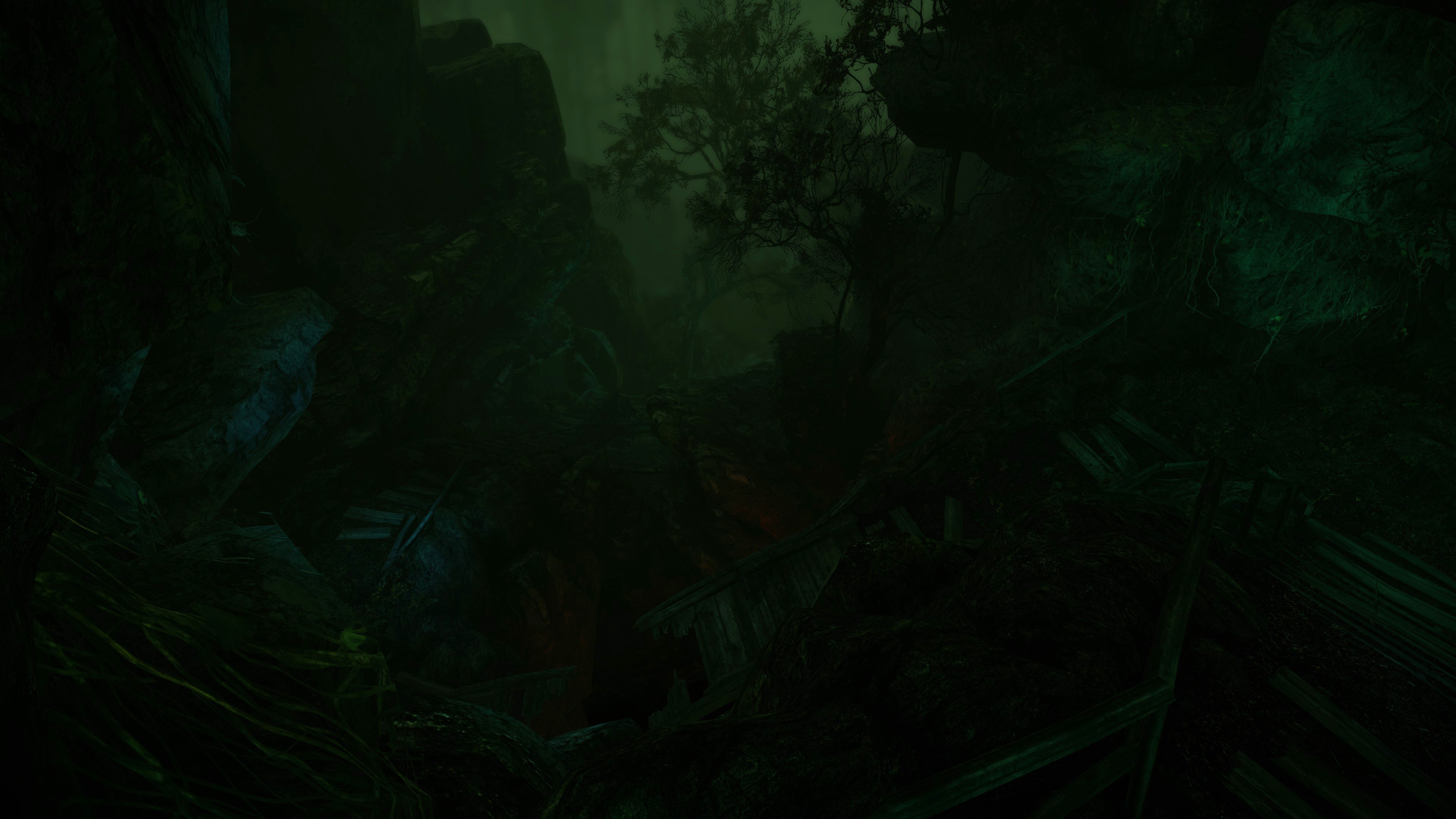The Cursed Forest — скриншот 2