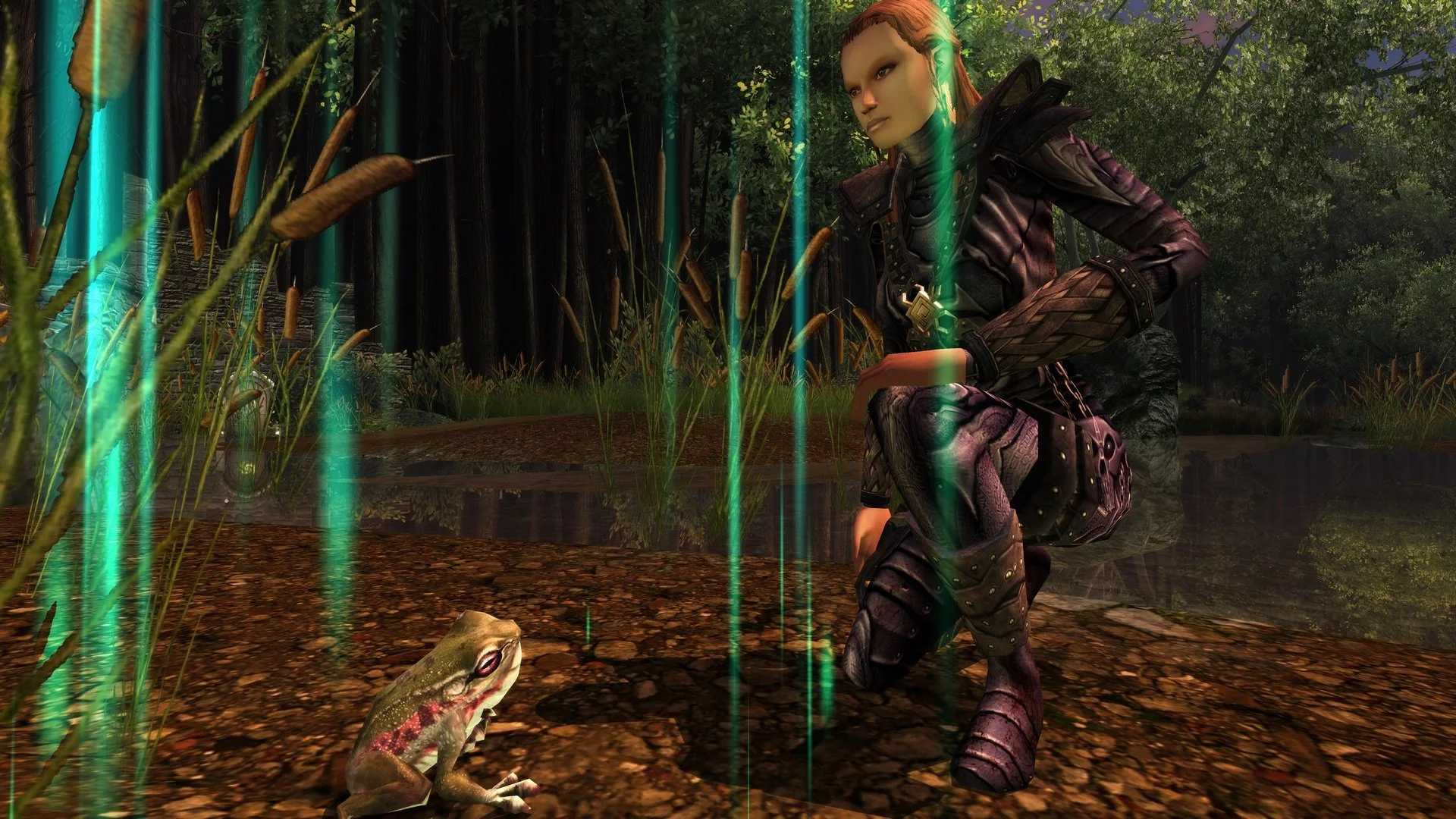 Dungeons & Dragons Online - кадр 14