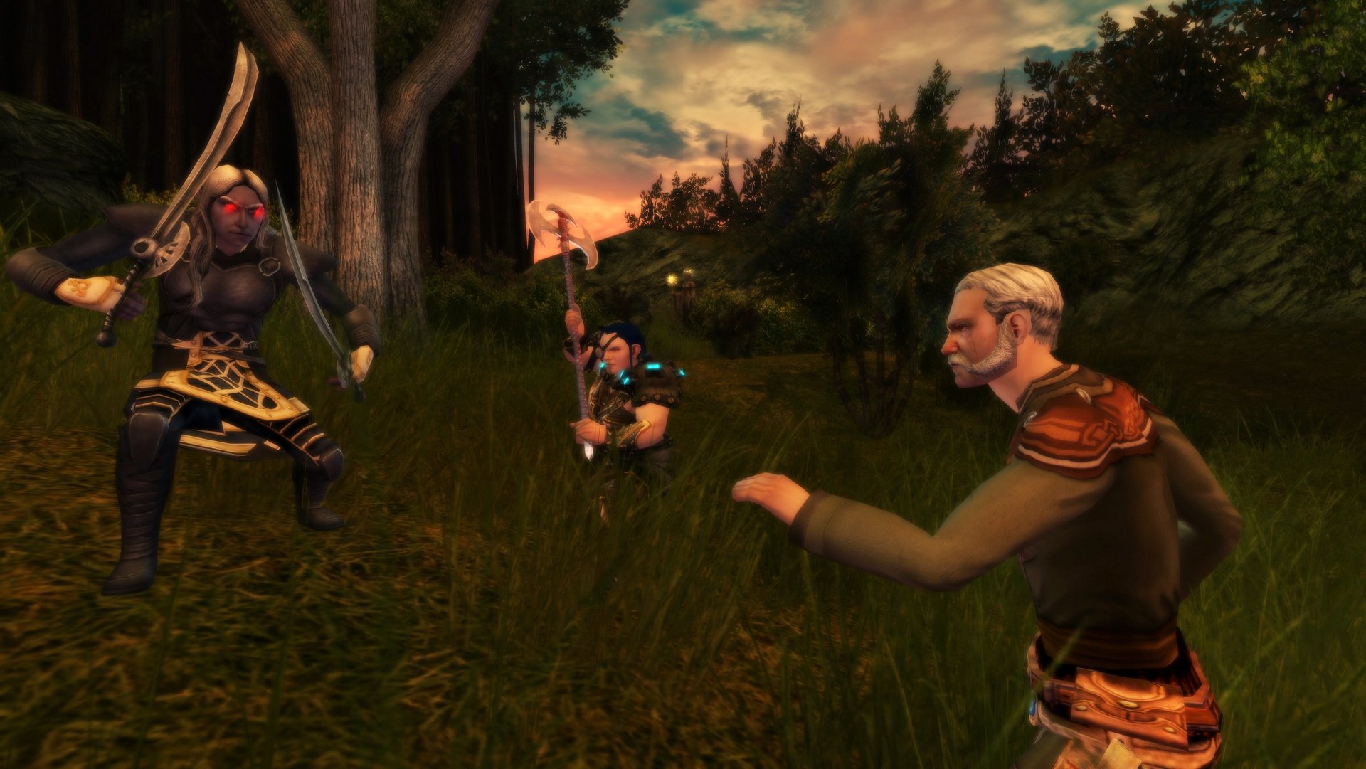 Dungeons & Dragons Online — скриншот 1