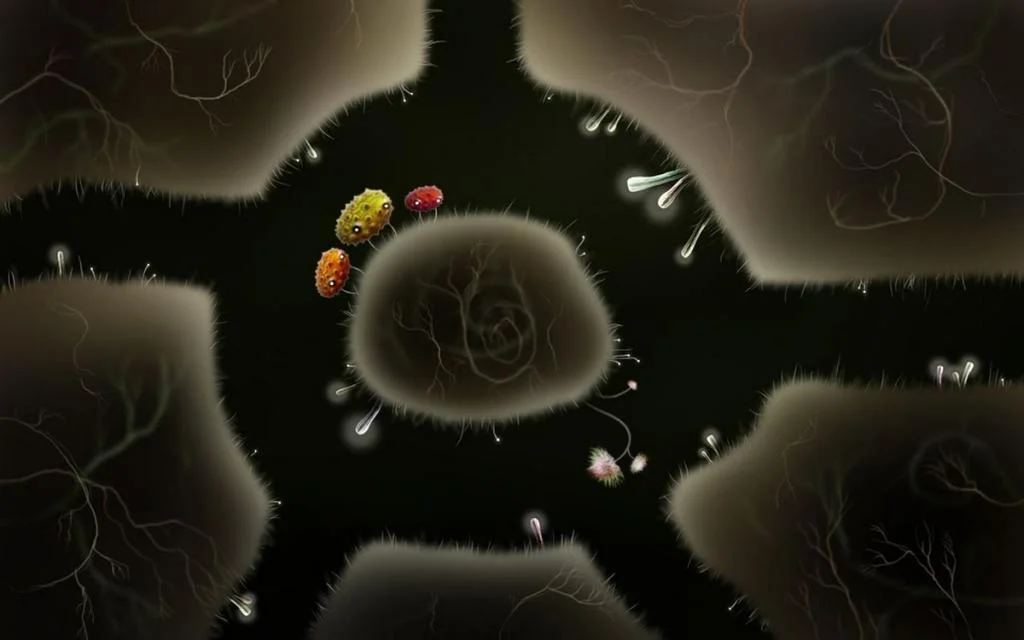 Botanicula - кадр 12