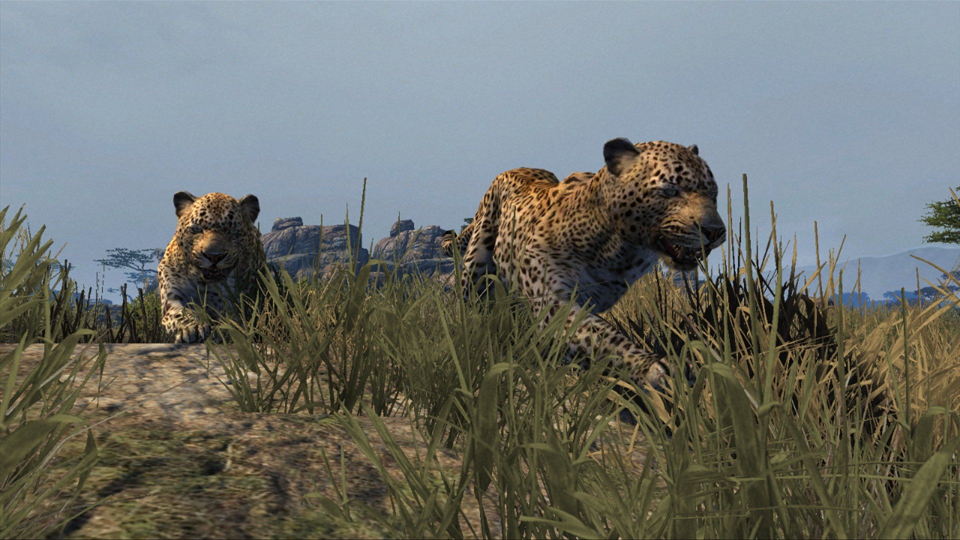 Cabela's Dangerous Hunts 2013 — скриншот 8