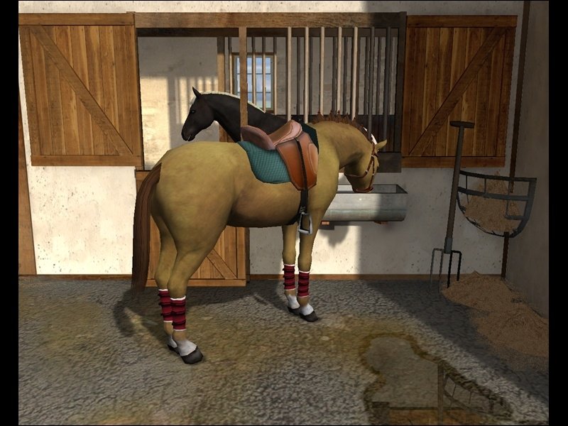 Tim Stockdale's Riding Star — скриншот 4