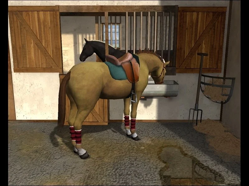 Tim Stockdale's Riding Star - кадр 4
