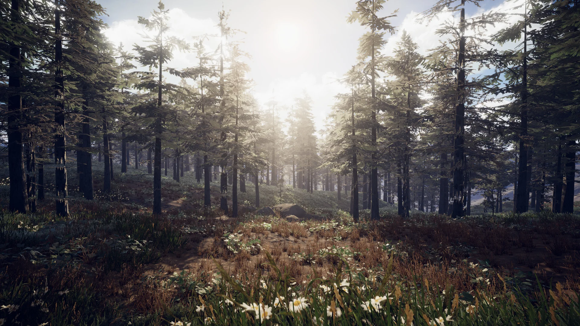 PROJECT D: Human Risen - кадр 2