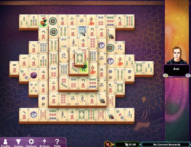 Hoyle Puzzle & Board Games (2012) — скриншот 2