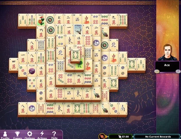 Hoyle Puzzle & Board Games (2012) - кадр 2