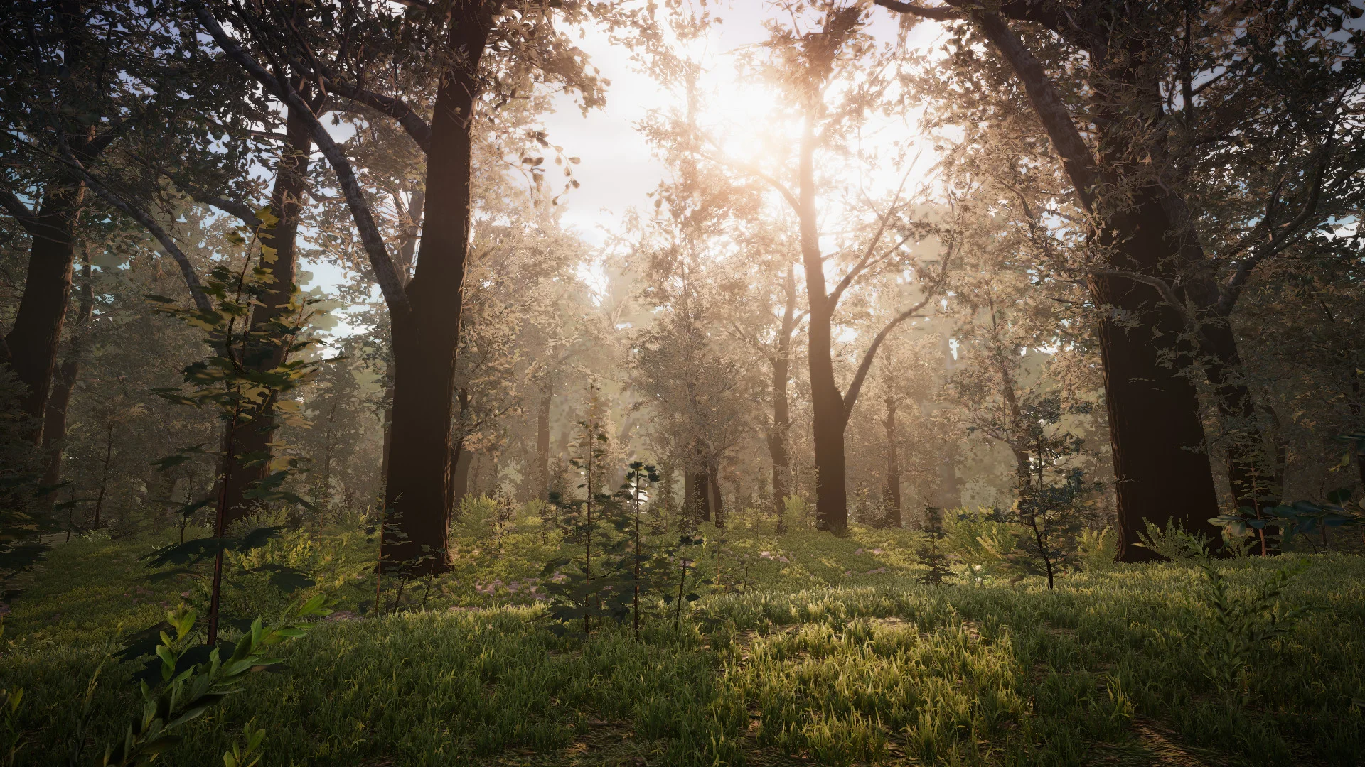 PROJECT D: Human Risen - кадр 16