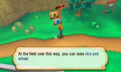 Story of Seasons — скриншот 7