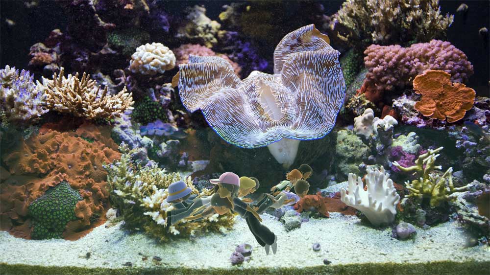 Avatar Aquarium — скриншот 2