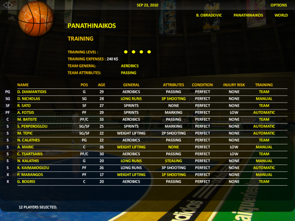 World Basketball Manager 2012 — скриншот 3