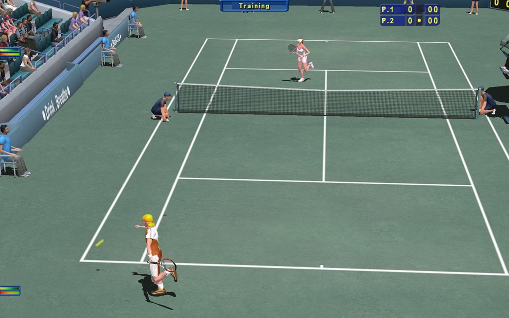 Tennis Elbow 2011 — скриншот 1