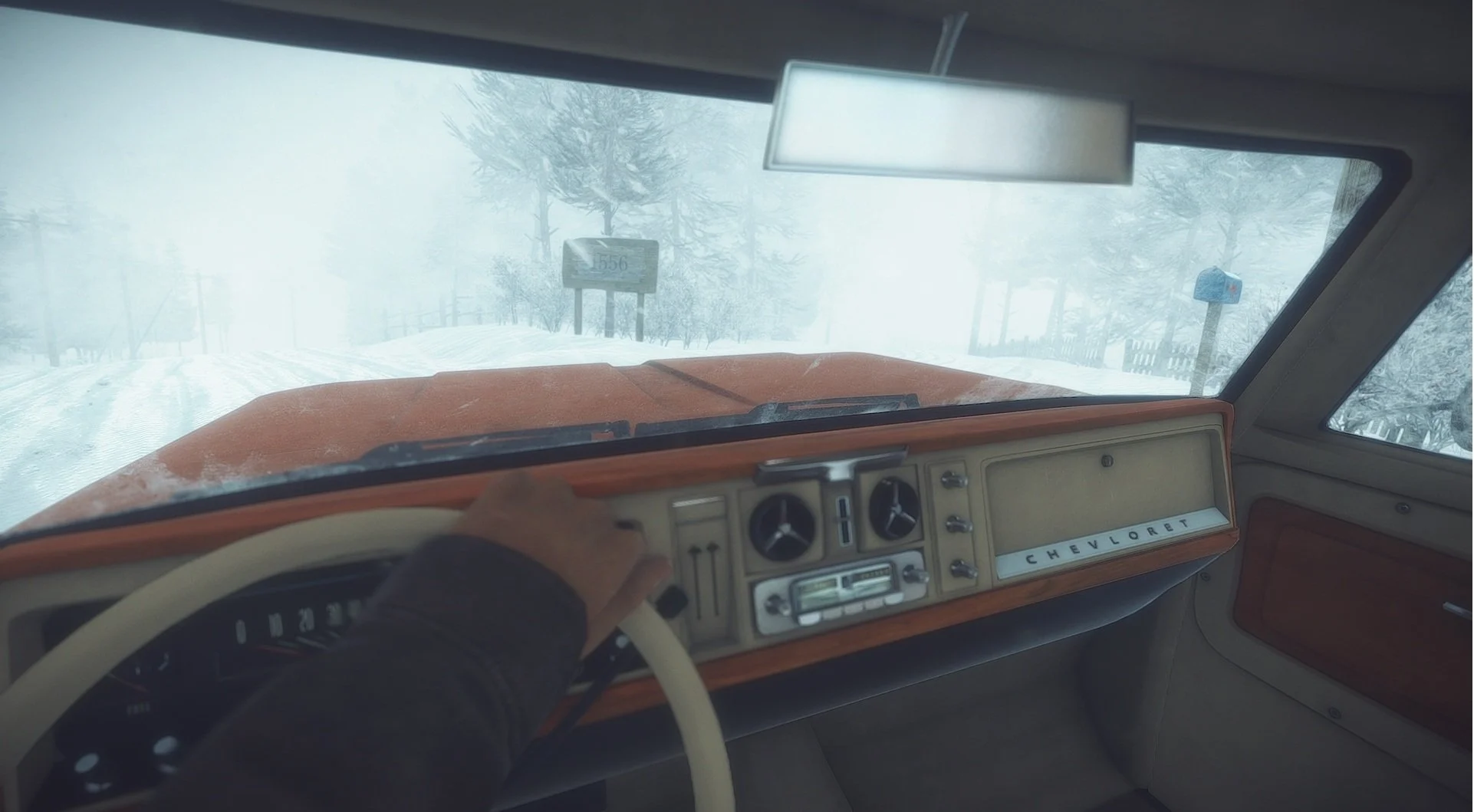 Kona - кадр 11
