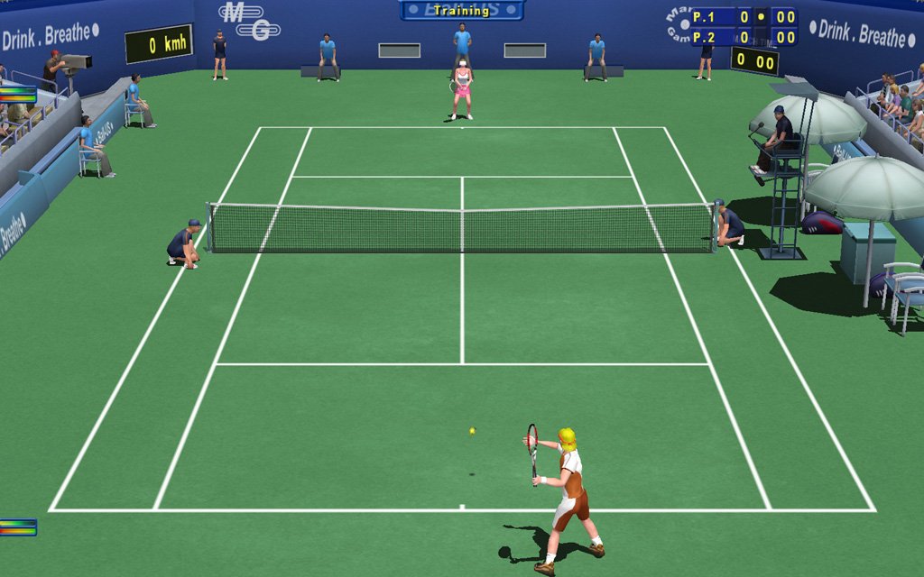 Tennis Elbow 2011 — скриншот 2