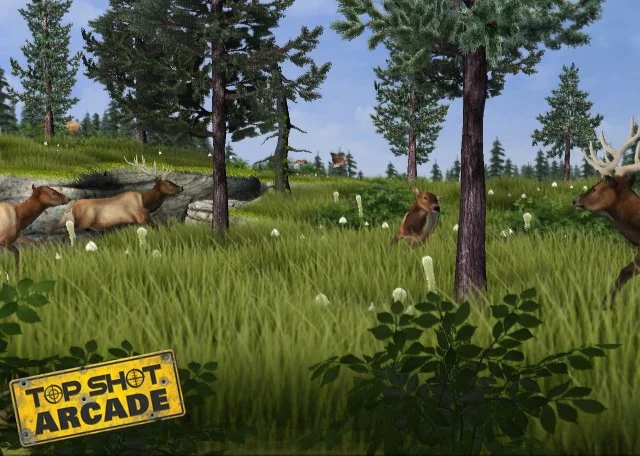 Top Shot Arcade - кадр 13