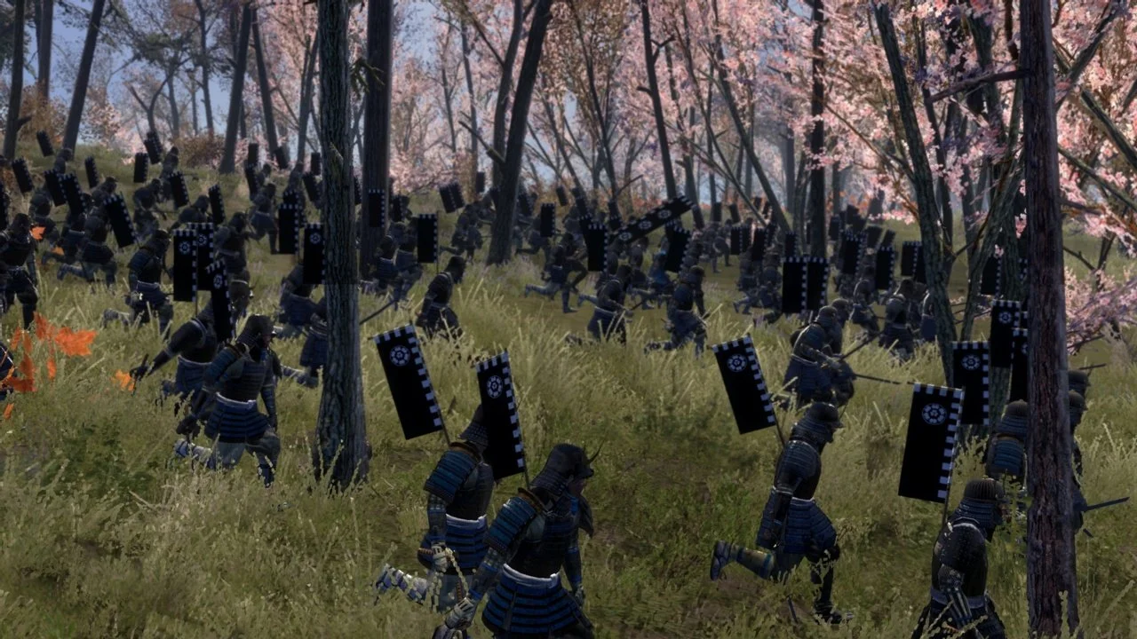 Total War: Shogun 2 - кадр 11