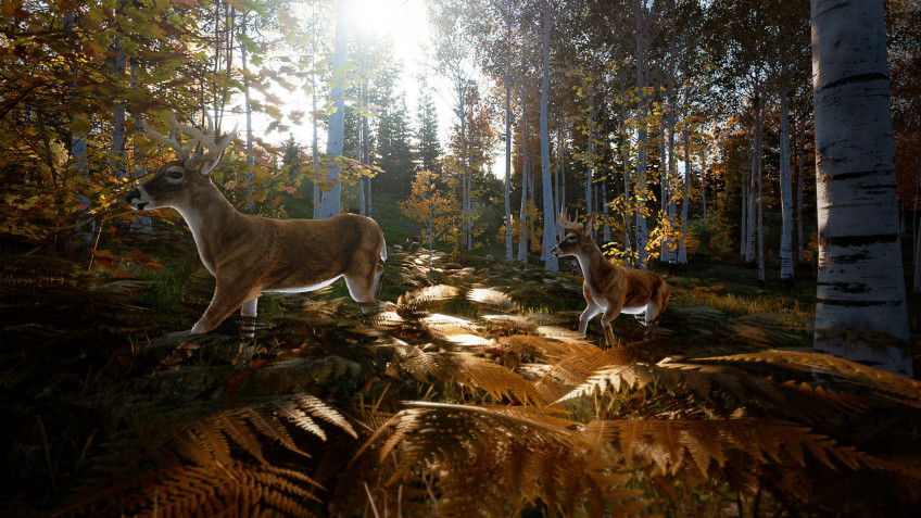 Hunting Simulator 2 — скриншот 1