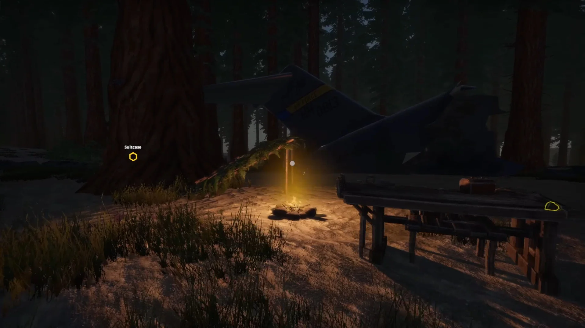 Missing Plane: Survival - кадр 1