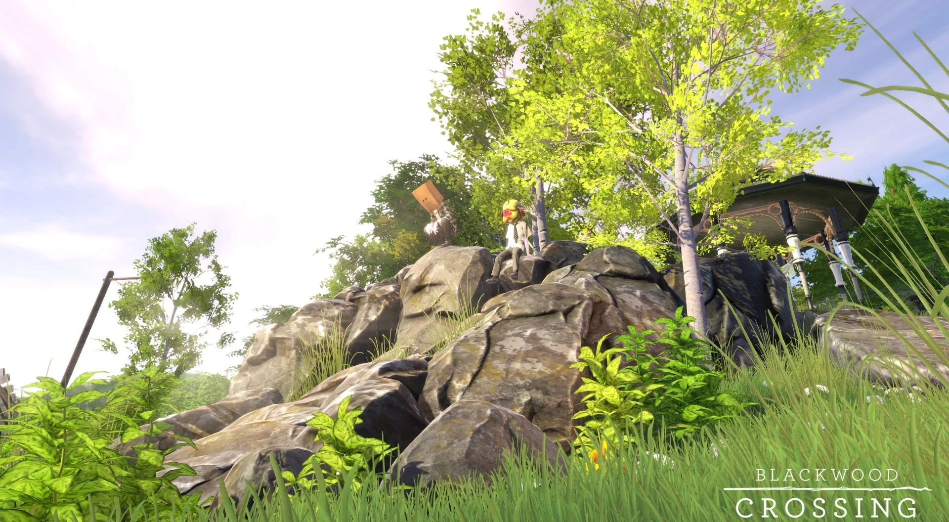 Blackwood Crossing - кадр 2