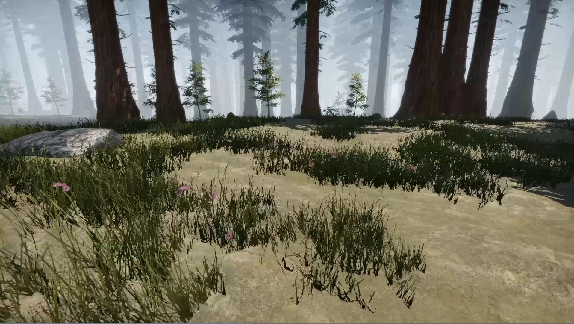 Missing Plane: Survival - кадр 2