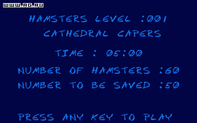 Hamsters - кадр 1