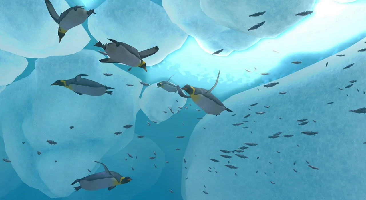 Endless Ocean: Blue World - кадр 4