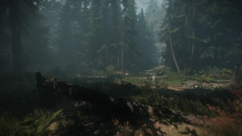 Maid of Sker - кадр 7