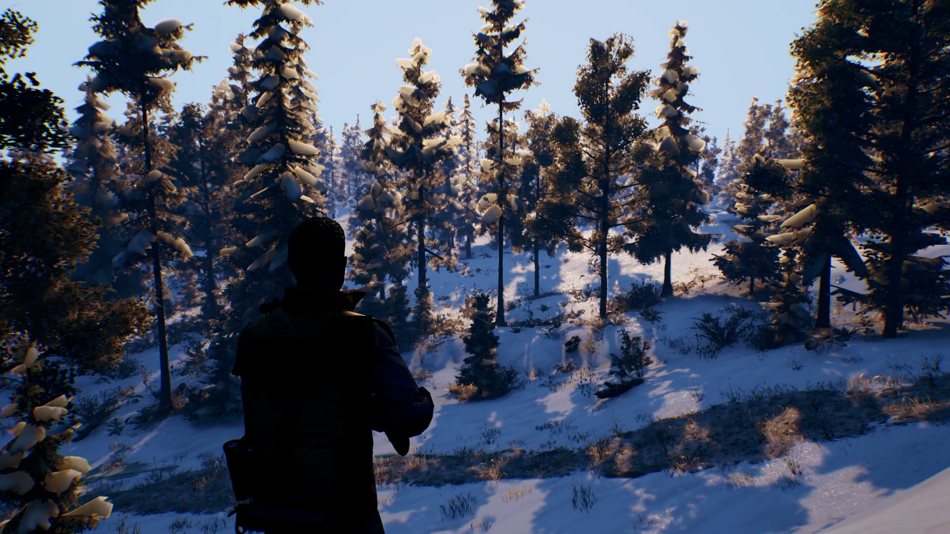 Open Country — скриншот 8