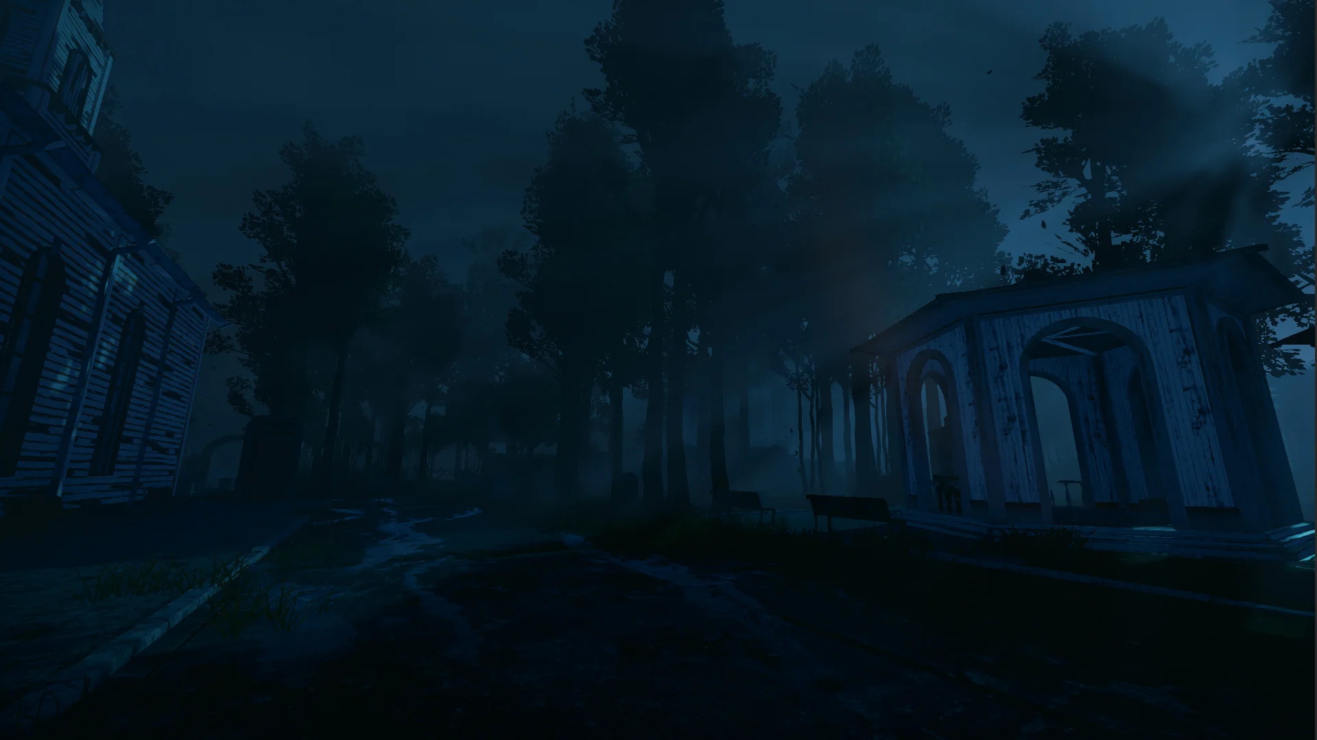 NIGHTWALK - кадр 2