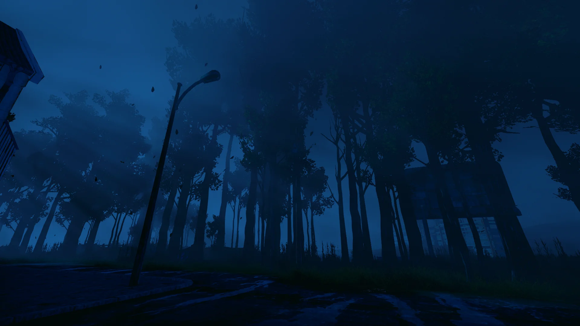 NIGHTWALK - кадр 3