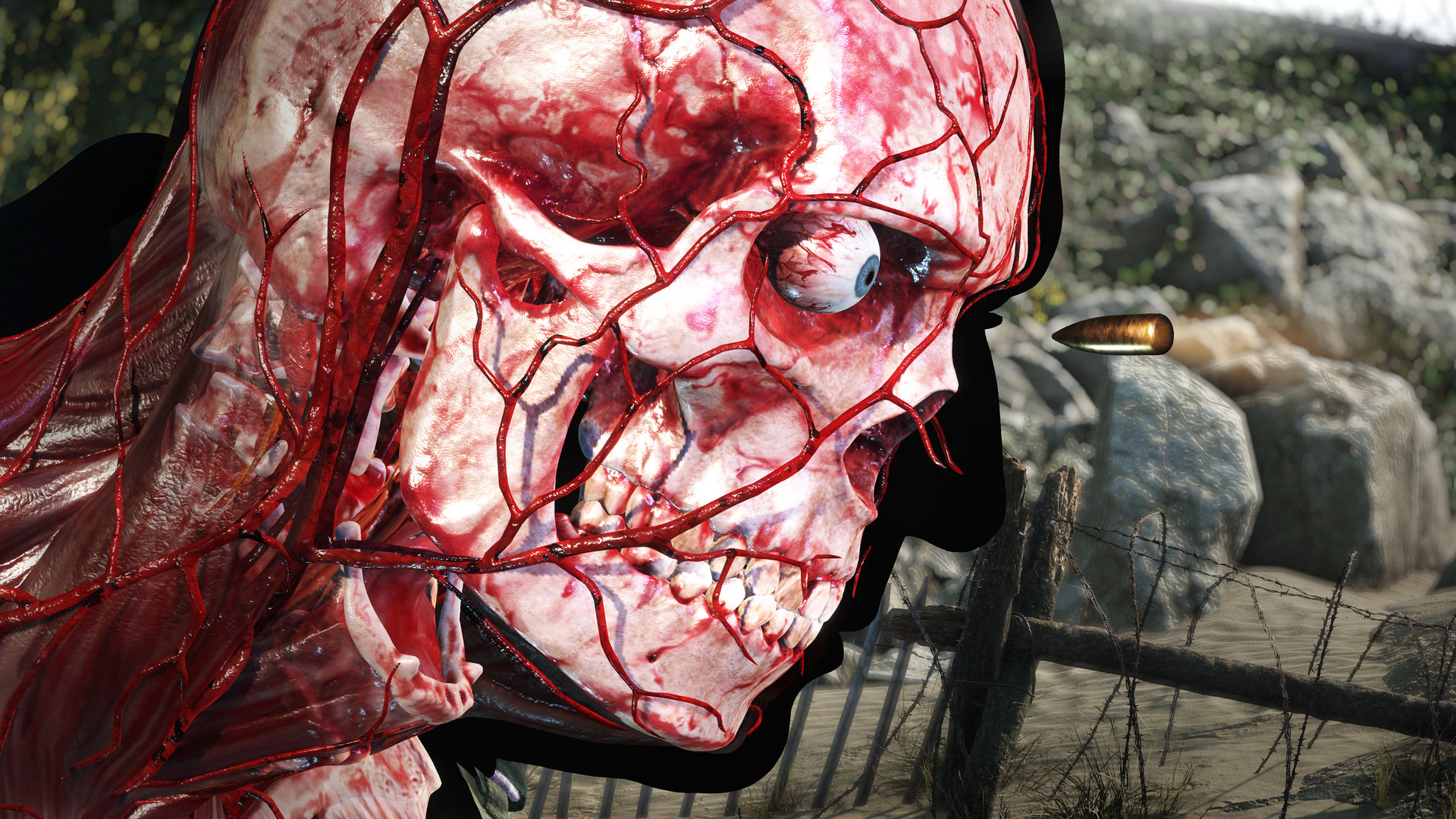 Sniper Elite 5 — скриншот 2