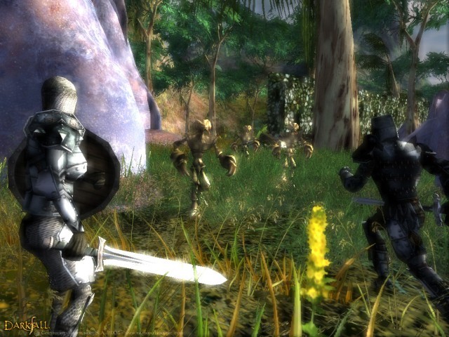 Darkfall Online — скриншот 1