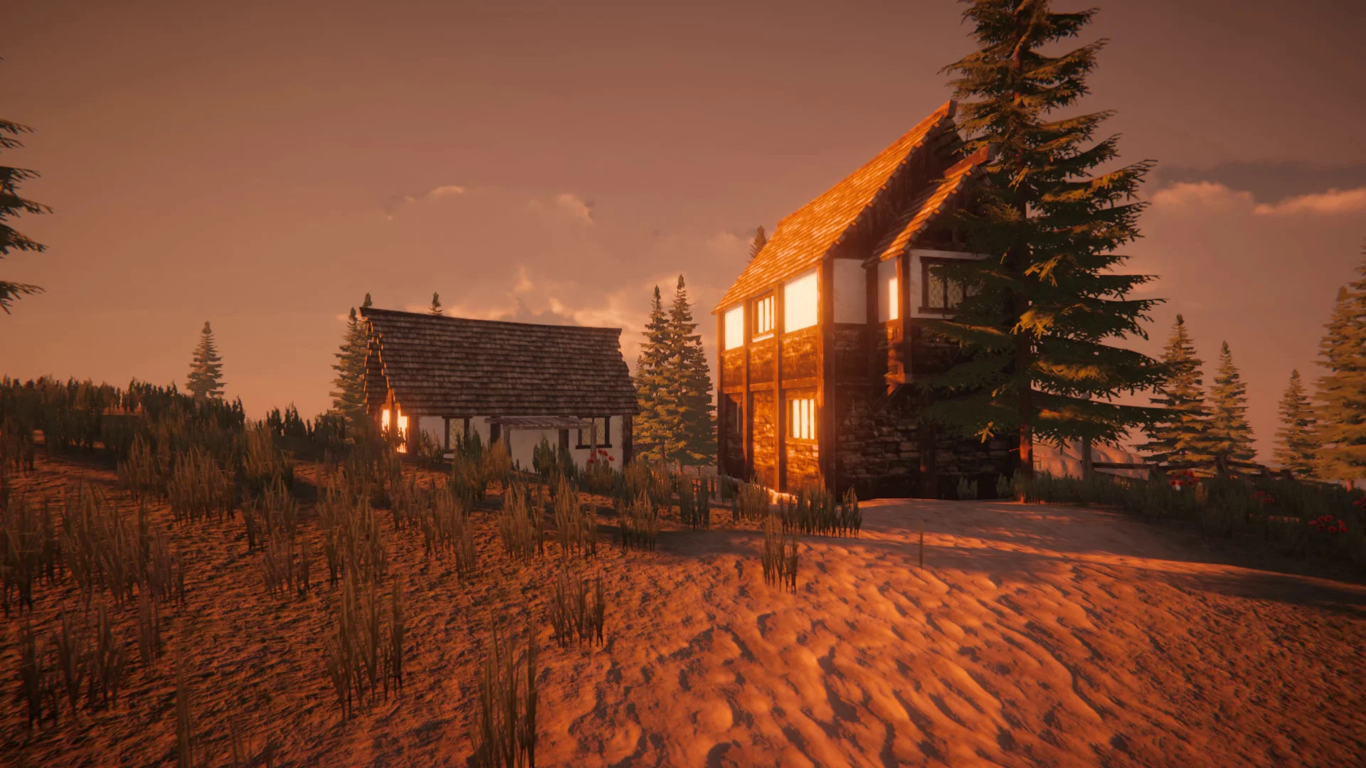 Wild Dose - кадр 3