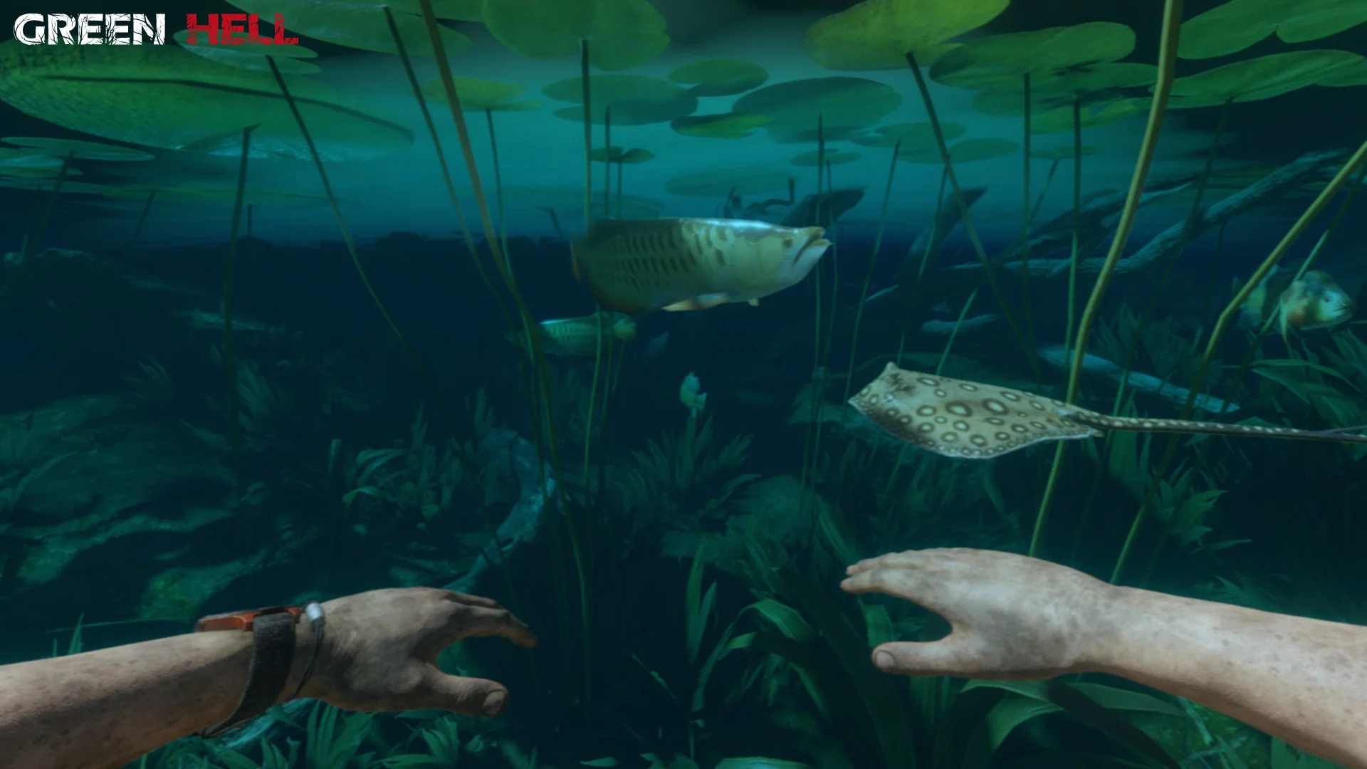 Green Hell - кадр 16