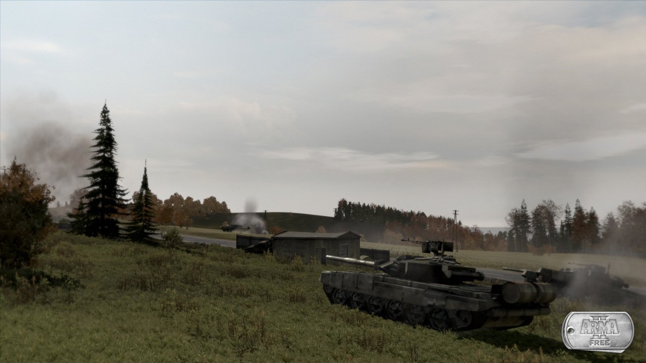 Arma 2: Free — скриншот 2