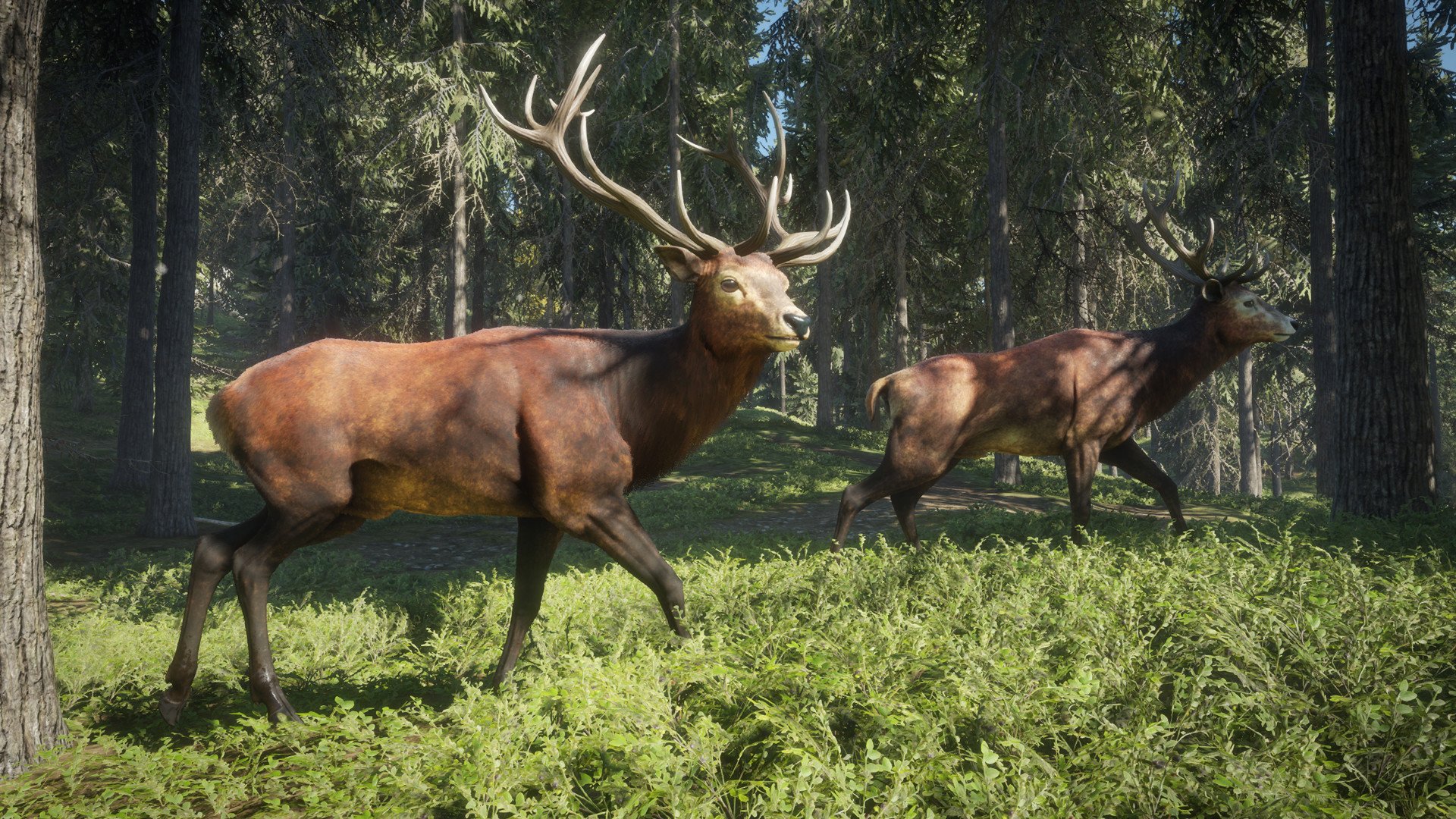 theHunter: Call of the Wild — скриншот 3