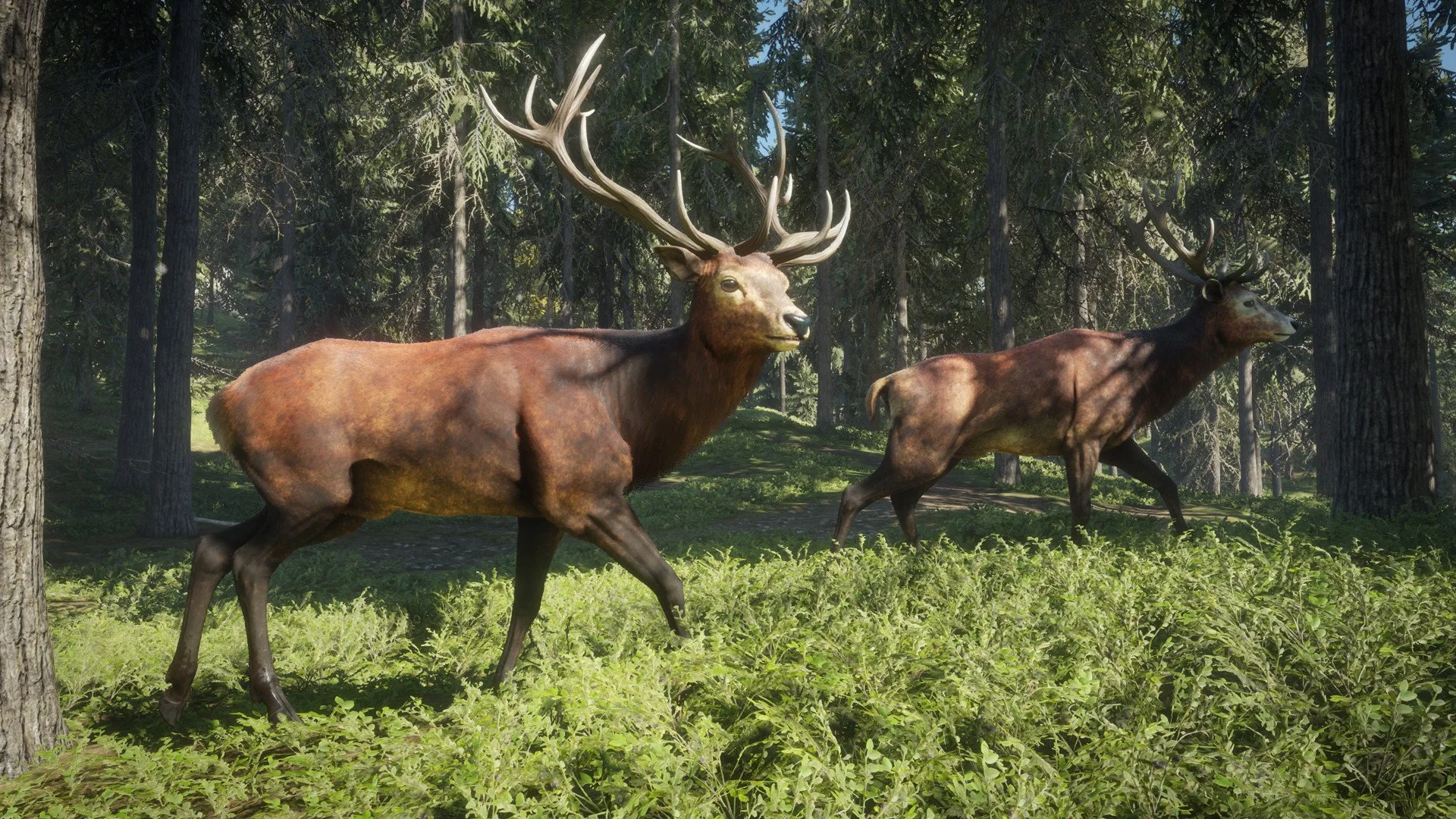 theHunter: Call of the Wild - кадр 3