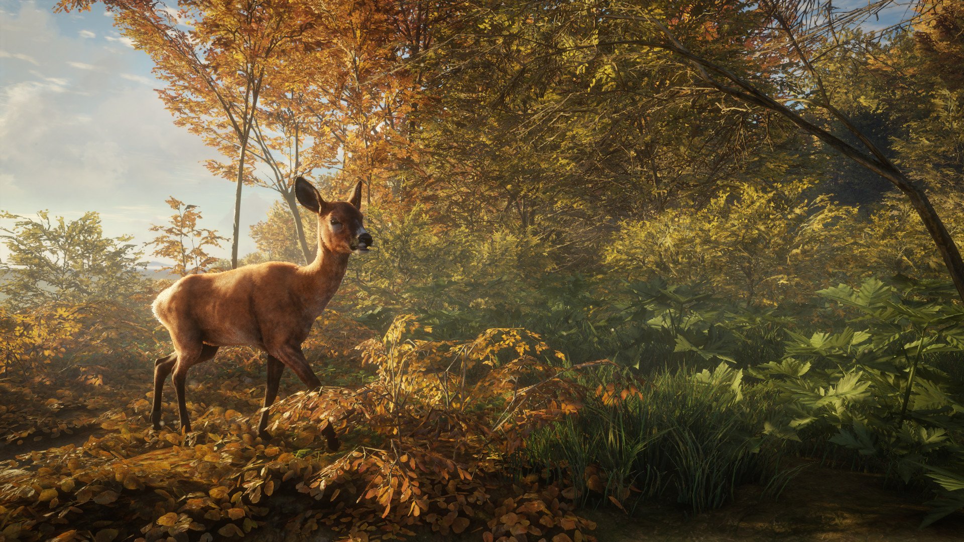 theHunter: Call of the Wild — скриншот 7