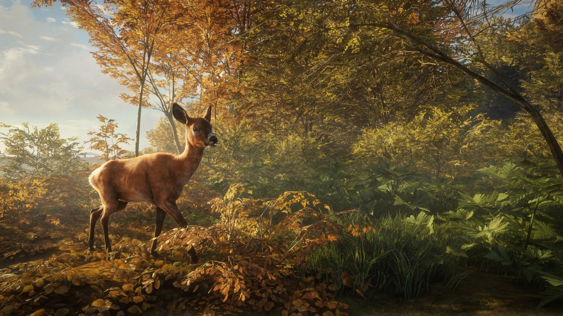 theHunter: Call of the Wild - кадр 7