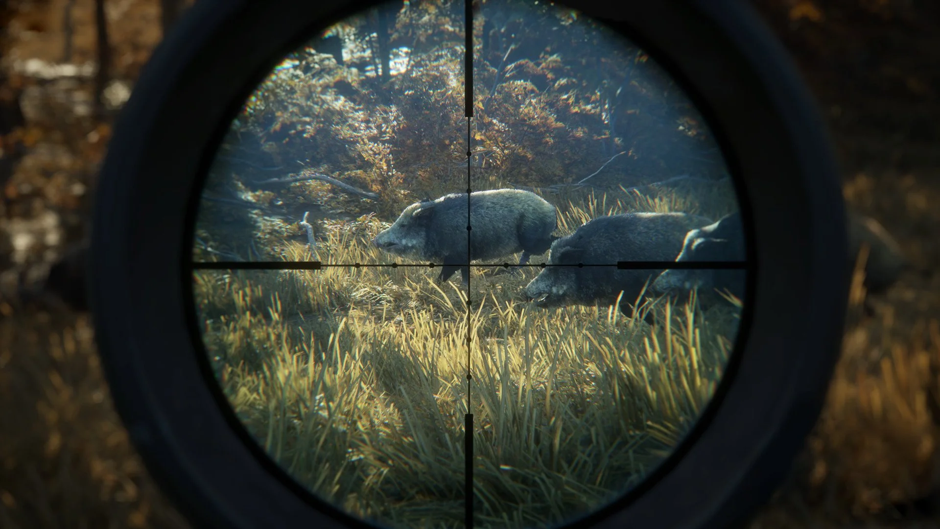 theHunter: Call of the Wild - кадр 13