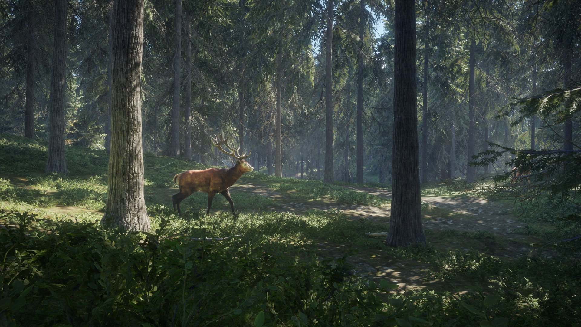theHunter: Call of the Wild — скриншот 5