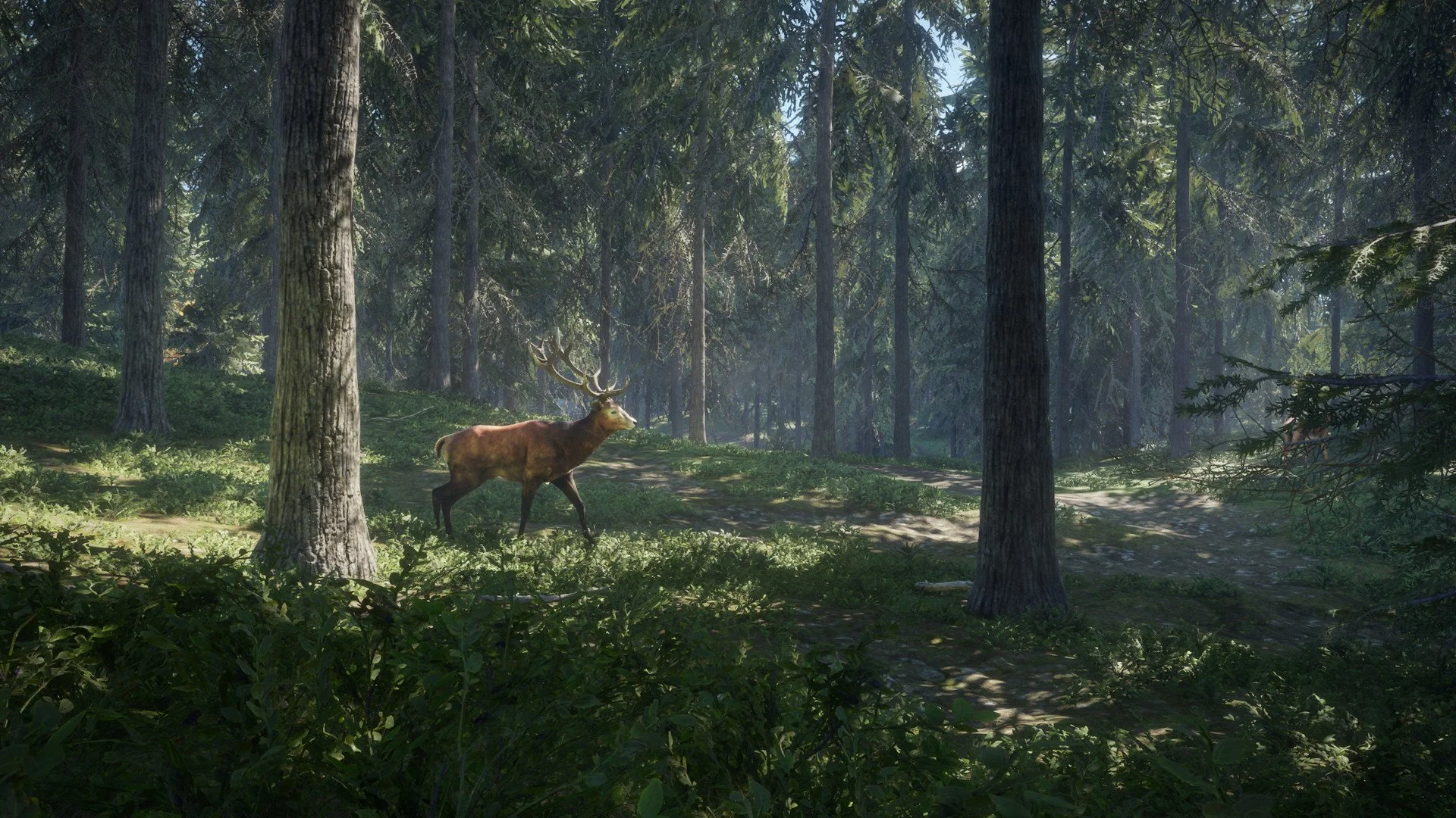 theHunter: Call of the Wild - кадр 5