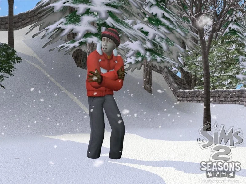 The Sims 2: Seasons - кадр 6