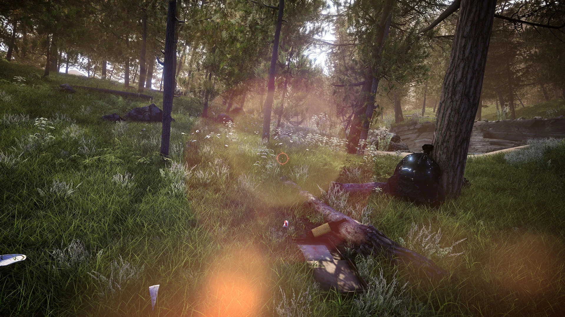 Forest Ranger Simulator - кадр 11